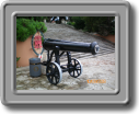 cannon