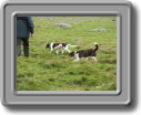 2005_0923roughtor0014