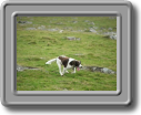 2005_0923roughtor0016