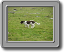 2005_0923roughtor0019