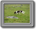 2005_0923roughtor0020