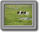 2005_0923roughtor0021