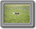 2005_0923roughtor0022