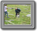 2005_0923roughtor0032