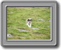 2005_0923roughtor0034