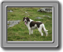 2005_0923roughtor0037