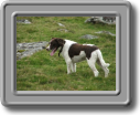 2005_0923roughtor0038
