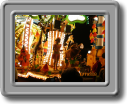 ChardCarnival3