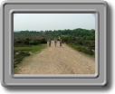 DSCF0629