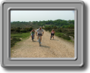 DSCF0630