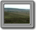 DSCF0631