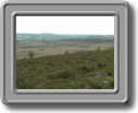 DSCF0632