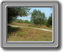 DSCF0637