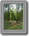 DSCF0638