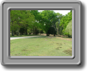 DSCF0641
