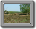 DSCF0642