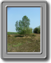DSCF0645