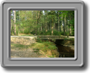 DSCF0647