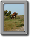 DSCF0651