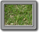 DSCF0682