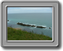 DSCF0709